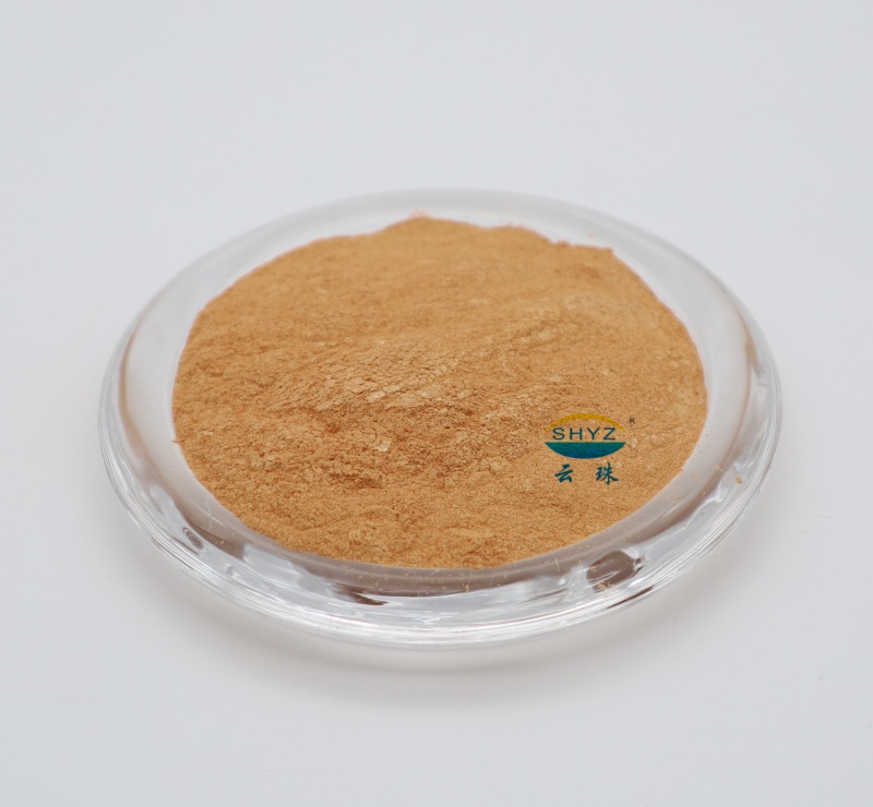 DG306 奥林匹克金